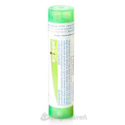 TEUCRIUM MARUM, GRA HOM CH5, na análne svrbenie, 4 g