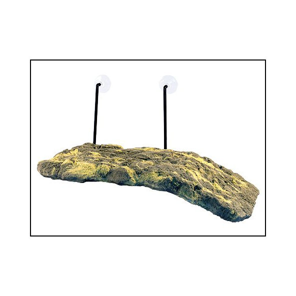 Ostrov Zoo Med pre korytnačky 18x39cm