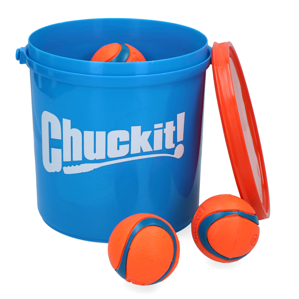 E-shop Chuckit Bucket with Ultra Ball M 8ks