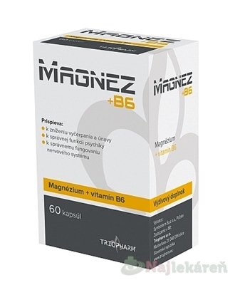 E-shop MAGNEZ + B6