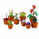 LEGO Botanicals Miniatúrne rastliny 10329