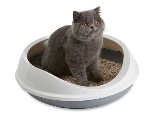 Toaleta Savic Figaro šedo-biela 55x48,5x15,5cm