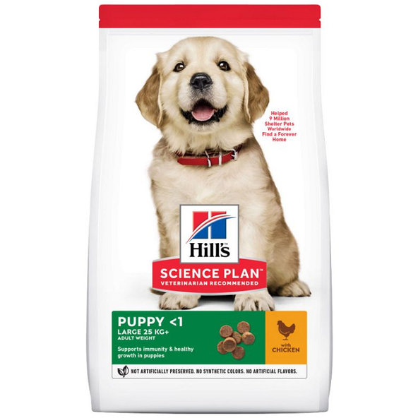 HILLS SP Canine Puppy Large Breed Chicken 14kg