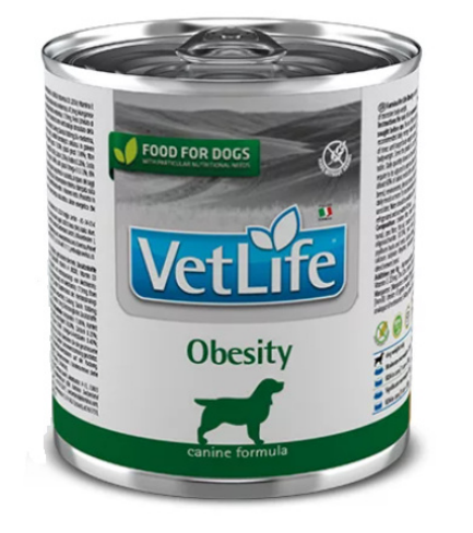 E-shop Farmina Vet Life dog obesity konzerva 300g