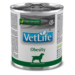 Farmina Vet Life dog obesity konzerva 300g