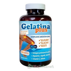 TEREZIA Gelatina Plus pre zdravé kĺby a kosti, 360 cps