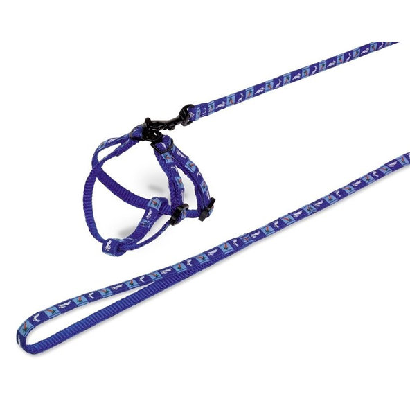 Postroj pre zajace "Carrot" modrá