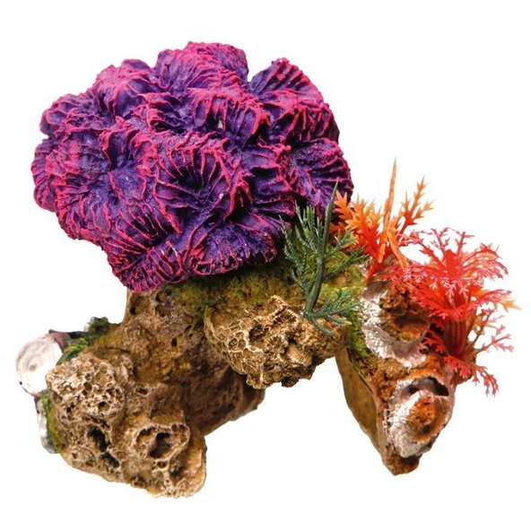 Korál dekorácia 13cm