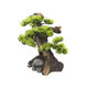Bonsai dekorácia 12,3cm