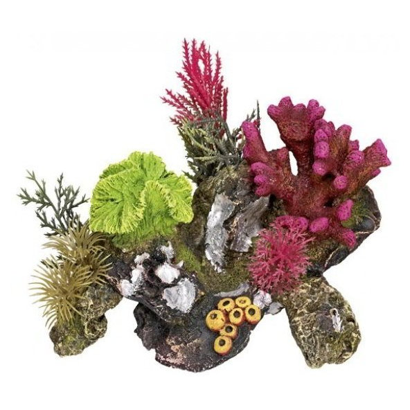 Korál dekorácia 17cm