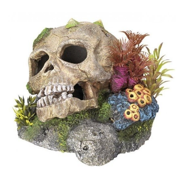 Lebka s rastlinami 13,5cm