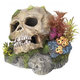 Lebka s rastlinami 13,5cm