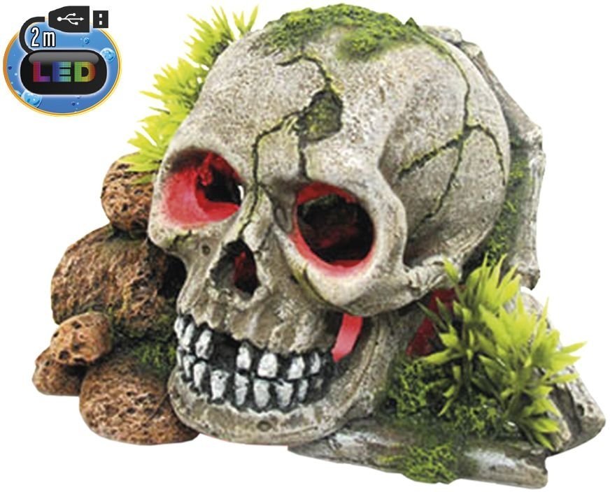 E-shop Lebka s rastlinami, s LED 15,5cm