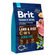 Brit Premium by Nature dog Sensitive Lamb 3kg