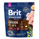Brit Premium by Nature dog Adult S 1kg