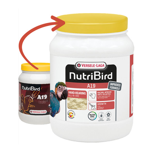 Versele Laga NutriBird A19 - dokrmovacia zmes na ručný odchov veľkých papagájov 800g
