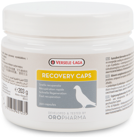 E-shop Versele Laga Oropharma Recovery kapsule pre holuby 203g 350cps