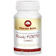 Pharma Activ Reishi forte 1000