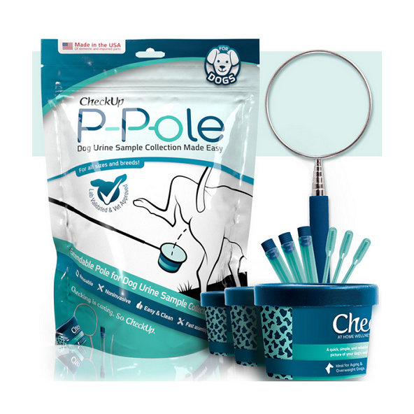 CheckUp P-Pole set na neinvazívny odber moču psa - sada