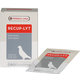 Versele Laga Oropharma Recup-Lyt - elektrolyty pre holuby 240g