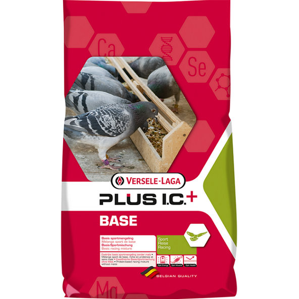 Versele Laga Base Plus I.C.+ základné krmivo pre holuby 20kg