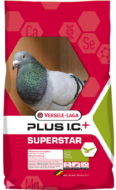 E-shop Versele Laga Superstar Plus I.C.+ pre holuby 20kg