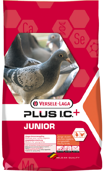 E-shop Versele Laga Junior Plus I.C.+ - pre holuby 20kg