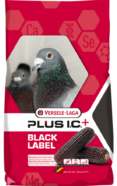 E-shop Versele Laga Holuby Black Label Gerry Plus I.C.+ pre holuby 20kg