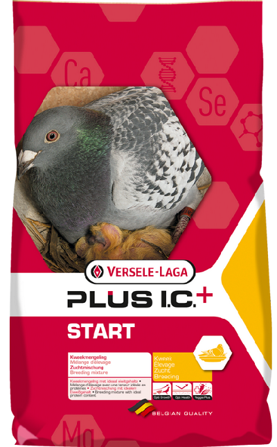 E-shop Versele Laga Start Plus I.C.+ chovná zmes pre holuby 20kg
