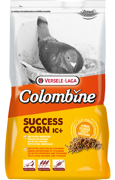 E-shop Versele Laga Colombine Succes-Corn I.C.⁺ - pre holuby 15kg