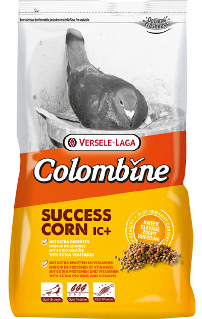 E-shop Versele Laga Colombine Succes-Corn I.C.⁺ - pre holuby 3kg