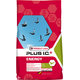 Versele Laga Energy Plus I.C.⁺ - pre holuby 18kg