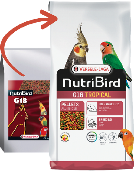 E-shop Versele Laga NutriBird G18 Tropical - pre stredne veľkých papagájov 10kg