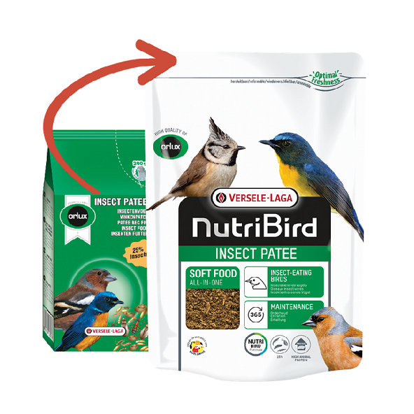 Versele Laga Orlux Insect Patee - kompletné krmivo pre hmyzožravé vtáctvo 200g