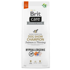 Brit Care dog Hypoallergenic dog Show Champion granule pre psy 12kg