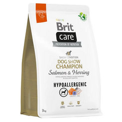 Brit Care dog Hypoallergenic dog Show Champion 3kg