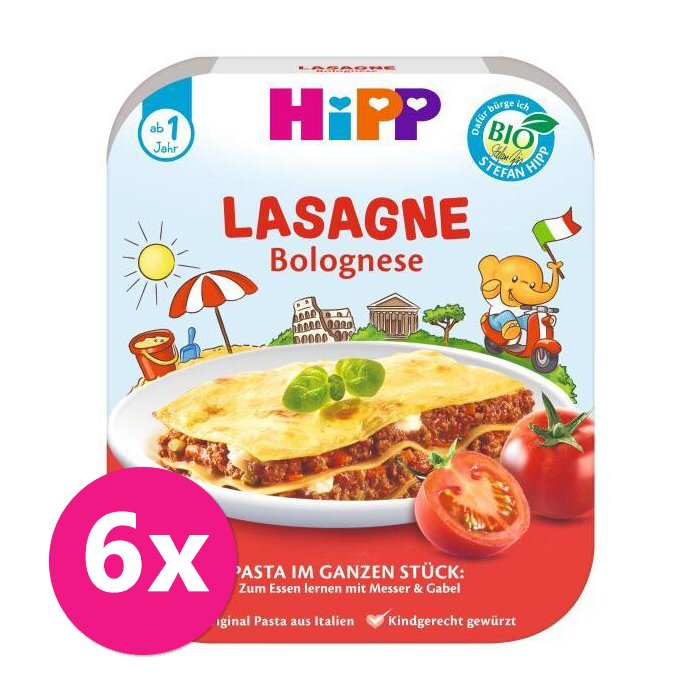 E-shop 6x HiPP BIO Bolonskej lasagne od 1 roka, 250 g