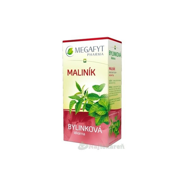 MEGAFYT Bylinková lekáreň OSTRUŽINA MALINOVÁ, 20x1,5g