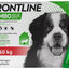 Frontline Combo Spot-on Dog XL - pipeta proti kliešťom pre psy 3 x 4,02ml
