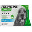 Frontline Combo Spot-on Dog M - pipeta proti kliešťom pre psy 3 x 1,34ml