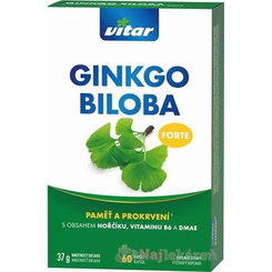 VITAR GINKGO BILOBA FORTE