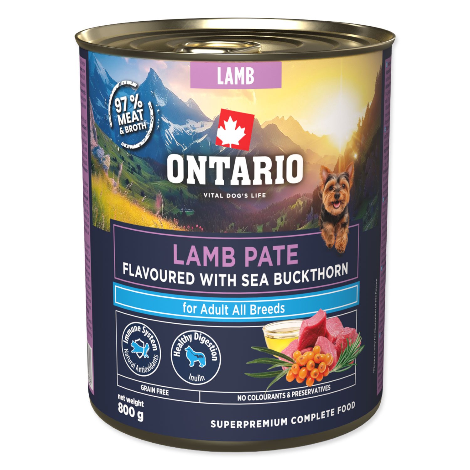 Konzerva Ontario Adult jahňacie paté s príchuťou rakytníka 800g