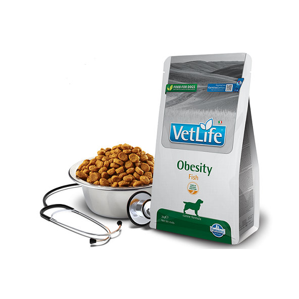 Farmina Vet Life dog obesity, fish granule pre psy 12kg