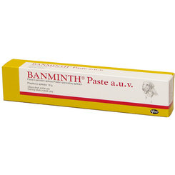 Banminth perorálna pasta na odčervenie psov 24g