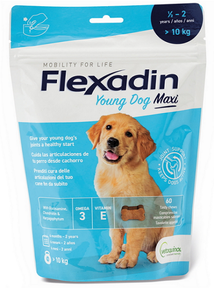 E-shop Flexadin Young Dog Maxi žuvacie tablety na kĺby pre psy 60tbl