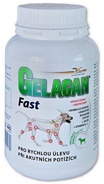 E-shop Gelacan Fast na pohybový aparát pre psov 150g