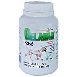 Gelacan Fast na pohybový aparát pre psov 150g