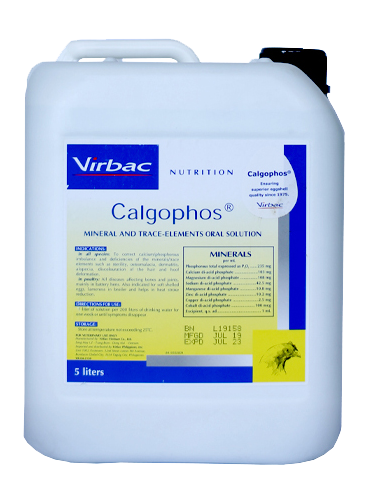 E-shop CalgoPHOS vitamínovo-minerálny prípravok pre zvieratá 5000ml
