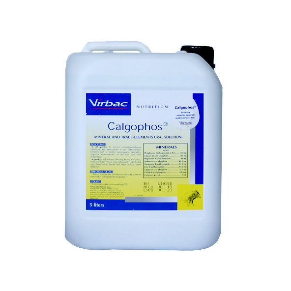 CalgoPHOS vitamínovo-minerálny prípravok pre zvieratá 5000ml