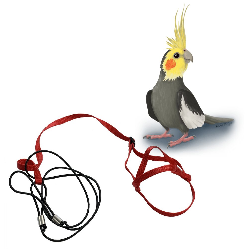 E-shop Traky pre papagáje červené XS